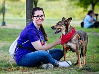Adoptuj Warszawiaka  Wydarzenie promujące adopcję zwierząt. Organizator: Schronisko dla Bezdomnych Zwierząt "Na Paluchu". 18 sierpnia 2019, Park Raszyński w Raszynie. : park raszyński, adoptuj warszawiaka, na paluchu, schronisko dla zwierząt, centrum warszawy, raszyn